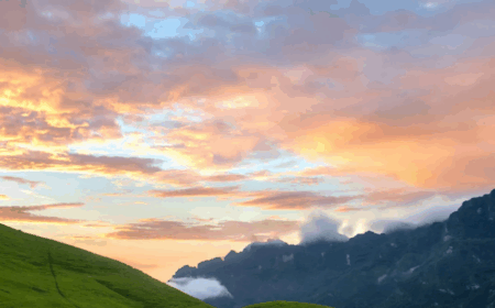 Productos Destacados 