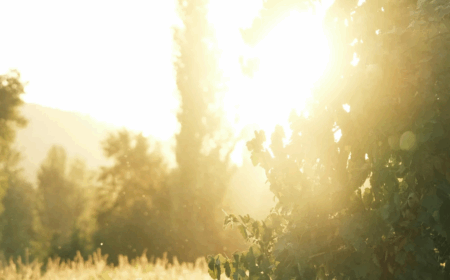 Tu práctica de yoga con estilo